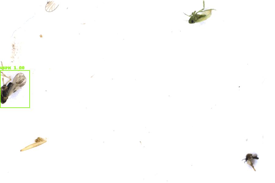 Image 17